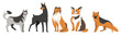 Assorted Large Breed Dogs Vector