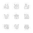 Set line icons of aloe vera