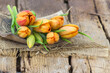 orange tulips on wooden background - close up