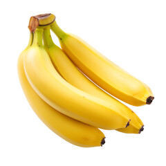 Wall Mural - isolated bunch of bananas - tropical fruits