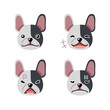 Set of cute character cute french bulldog faces showing different emotions for design.