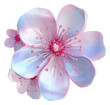 PNG Blossom iridescent flower petal plant.