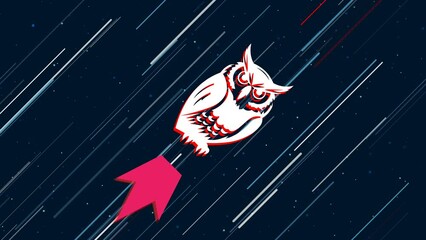 Poster - Owl symbol flies through the universe on a jet propulsion. The symbol in the center is shaking due to high speed. Seamless looped 4k animation on dark blue background with stars