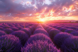 Fototapeta Kwiaty -  breathtaking lavender fields at sunset with vibrant sky colors