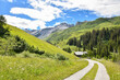 pictorial hiking route through wildflower meadow, Gafiertal valley, prattigau alps