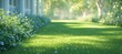 Close up of a lush green lawn in a front yard with a house and trees in the background, with a blurred bokeh effect. 