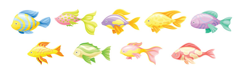 Poster - Tropical Fish as Aquarium Sea Pet Vector Set