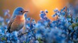 bluebird in the bluebells on orange sunset background. 
