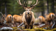 Regal Elk Staring Intently with Herd in Background. Generative AI