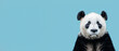 A striking image of a giant panda captured with a neutral expression, set against a clear blue background suggesting introspection and calm