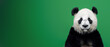This direct gaze from a panda, surrounded by an energetic green hue, captures the animal's spirit and appeals to our sense of connection with wildlife