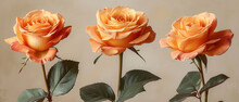Three Orange Roses Are In A Vase With Green Leaves