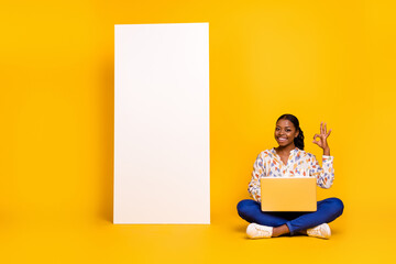 Portrait of beautiful trendy cheery girl using laptop showing ok-sign copy blank space isolated over bright yellow color background