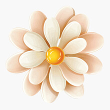 A White Flower With A Yellow Center On A White Background