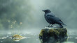 A raven perched on a mossy rock in the rain, with a misty forest background.