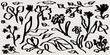 Abstract contemporary minimal flower collection. Modern vector illustration. Ink hand-drawn flowers set. Wild flowers and plants in charcoal or crayon drawing style. Pencil drawn branches and leaves.