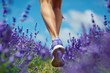 Back view of woman's legs with sport shoes jogging in through field of lavender flowers
