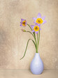 Candia tulips in vase, still life. Tulipa saxatilis.