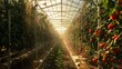 Modern greenhouse filled with vibrant green plants, showcasing a variety of hydroponic crops thriving in a controlled environment