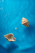 Oyster seashell and pearl in bright blue ocean water