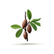 Cocoa fruits on a branch with green leaves, 3D. Cocoa pods. Realistic image for advertising cocoa drinks, chocolate, dessert, food, and product packaging. Vector illustration.