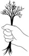 Line drawing. Hand holding tree. Vector illustration