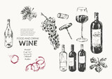 Fototapeta Tęcza - Vector wine illustration. Wine bottle, glass, wine stains, cork, corkscrew, grape bunch, vine leaf, marks. For food and drink background, wine list, cafe menu.