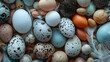Showcasing Nature's Artistry: A Fascinating View of Different Bird Eggs and Feathers