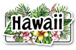 Hawaii Sticker With Flowers and Leaves