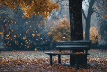 Lonely Wooden Bench Under A Tree With Falling Leaves Around It