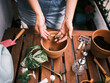 Hands carefully placing round bulbs into a terracotta pot surrounded by diverse gardening implements