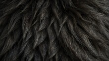 Black Fur Close-up Texture From Generative AI