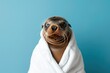 A sea lion wrapped in a white bathrobe against a light blue background, with detailed whiskers and shiny eyes.