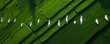 A flock of white birds flies in formation over a green field
