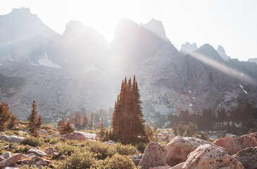 Wall Mural - Wind river range