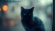 A cat’s silhouette through a foggy, rain-soaked window