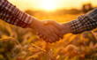 © Peopleimages - AI - Handshake, people and deal in countryside with partnership in wheat farm shaking hands for business meeting. Agreement, field and trust with lens flare with agriculture industry with collaboration