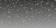 © Александр Боярин - Christmas background with small falling snowflakes. Snow storm effect, blurred, cold wind with snow png. Holiday powder snow for cards, invitations, banners, advertising.