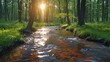   In a wooded area, a stream runs, its waters transparent as the sun's rays penetrate and dance among tree limbs