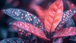  leaves boast red specks; backdrop softly blurred