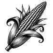 corn cob with pop corn husk and kernel texture sketch engraving generative ai fictional character PNG illustration. Scratch board imitation. Black and white image.
