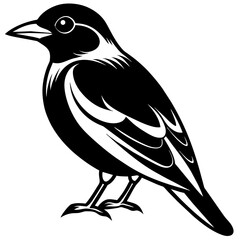 Sticker - crow