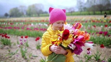 Wall Mural - Adorable preschooler girl picking beautiful tulip flowers on farm. Outdoor summer activities for little kids.