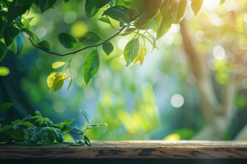 Wall Mural - Empty Wooden Table, Blurry Bokeh Green Natural Background. Autumn Spring Morning, Soft Light, Product Display, Ads Banner