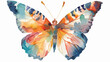 Watercolor vector butterfly flat vector isolated