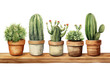 PNG Cactus plant creativity houseplant