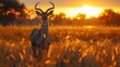 African Eland Antelope, Big Brown African Mammal in Nature Habitat. Eland in Green Vegetation, Khwai River, Okavango in Botswana - Generative AI