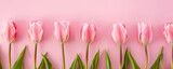 Fototapeta Tulipany - Bouquet of pink tulips on a pink background with copy space. Mother's day background.