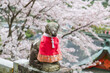 Fox dog statue at pink sakura in Yutoku Inari Shrine, Kashima