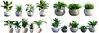 png, 17 transparent background indoor plants, decorative plants in pots. green leafy plants for indoor decoration
